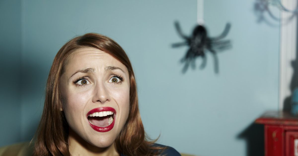 ترس از عنکبوت